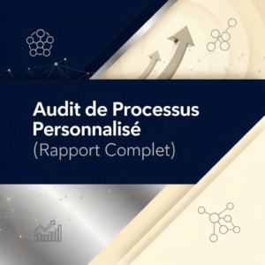 Audit de Processus Personnalisé (Rapport Complet)