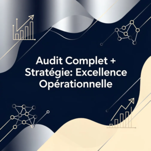 Audit Complet + Stratégie: Excellence Opérationnelle