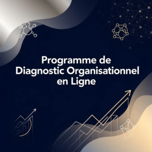 Programme de Diagnostic Organisationnel en Ligne
